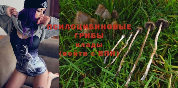 скорость Мегион