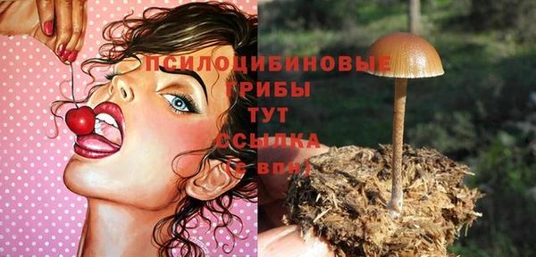 ешки Медвежьегорск