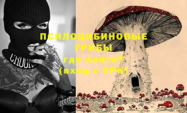 ешки Медвежьегорск