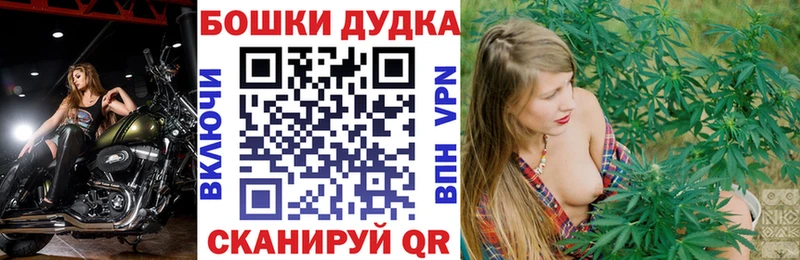 Каннабис семена shop состав Сосенский гидра рабочий сайт